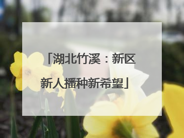 湖北竹溪：新区新人播种新希望