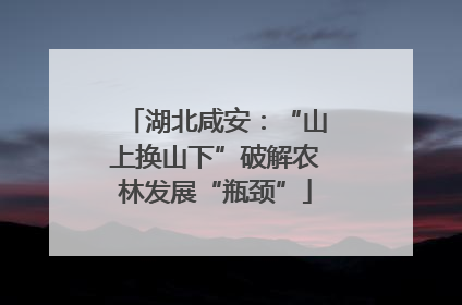 湖北咸安：“山上换山下”破解农林发展“瓶颈”