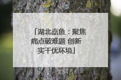 湖北嘉鱼：聚焦痛点破难题 创新实干优环境