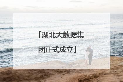 湖北大数据集团正式成立