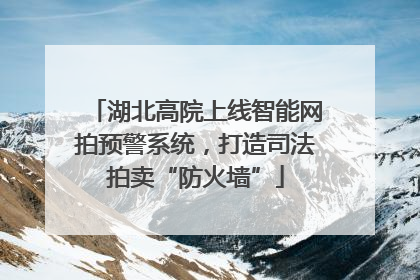 湖北高院上线智能网拍预警系统，打造司法拍卖“防火墙”