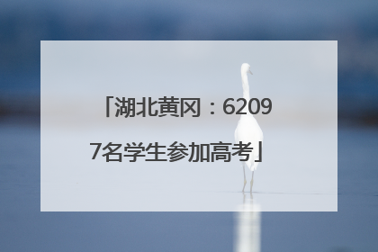 湖北黄冈：62097名学生参加高考