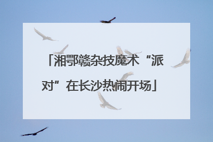 湘鄂赣杂技魔术“派对”在长沙热闹开场