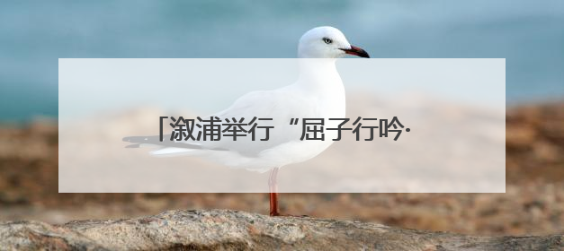 溆浦举行“屈子行吟·诗歌之源”诗会 春晚诗人外卖员王计兵登台