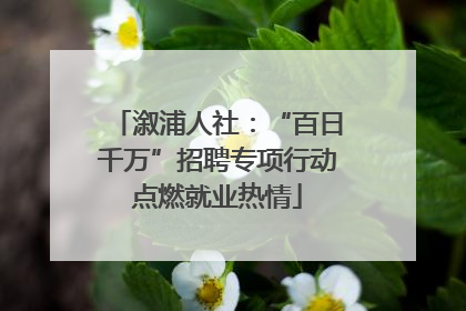 溆浦人社：“百日千万”招聘专项行动点燃就业热情