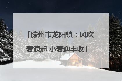 滕州市龙阳镇：风吹麦浪起 小麦迎丰收