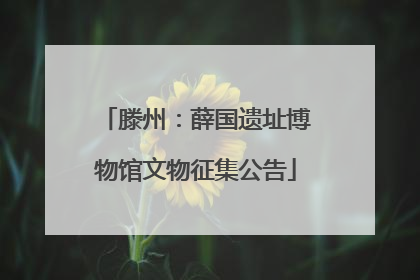 滕州：薛国遗址博物馆文物征集公告