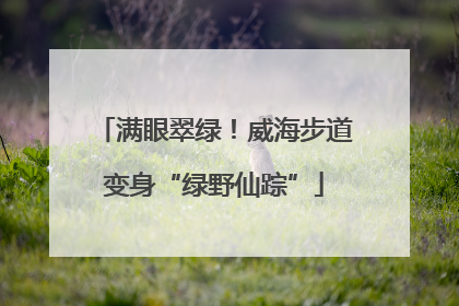满眼翠绿！威海步道变身“绿野仙踪”
