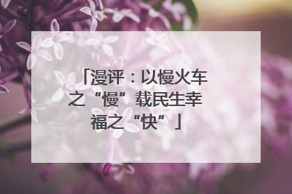 漫评：以慢火车之“慢”载民生幸福之“快”