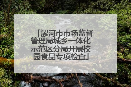 漯河市市场监督管理局城乡一体化示范区分局开展校园食品专项检查