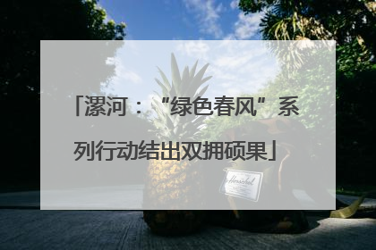 漯河：“绿色春风”系列行动结出双拥硕果