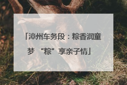 漳州车务段：粽香润童梦 “粽”享亲子情