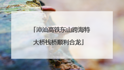 漳汕高铁东山跨海特大桥栈桥顺利合龙