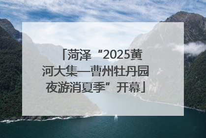 菏泽“2025黄河大集—曹州牡丹园夜游消夏季”开幕