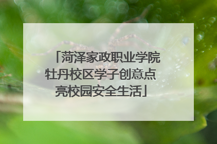 菏泽家政职业学院牡丹校区学子创意点亮校园安全生活