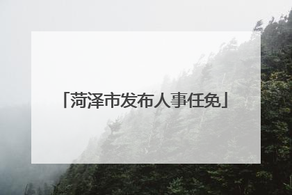 菏泽市发布人事任免