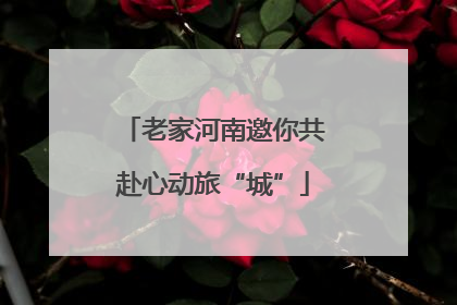 老家河南邀你共赴心动旅“城”