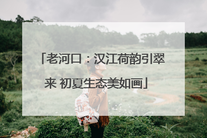 老河口：汉江荷韵引翠来 初夏生态美如画