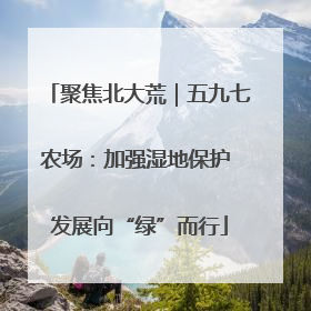 聚焦北大荒｜五九七农场：加强湿地保护 发展向“绿”而行