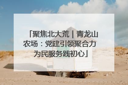 聚焦北大荒｜青龙山农场：党建引领聚合力 为民服务践初心