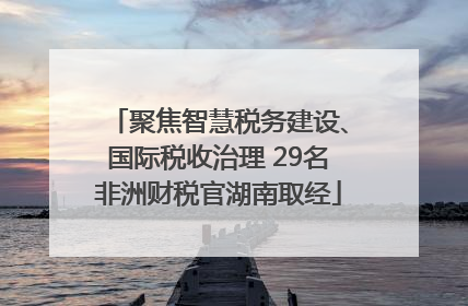 聚焦智慧税务建设、国际税收治理 29名非洲财税官湖南取经
