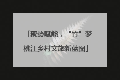聚势赋能，“竹”梦桃江乡村文旅新蓝图