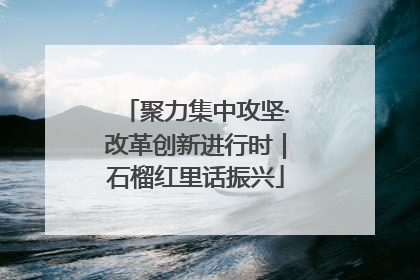 聚力集中攻坚·改革创新进行时｜石榴红里话振兴