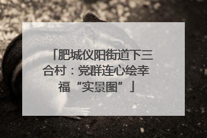 肥城仪阳街道下三合村：党群连心绘幸福“实景图”