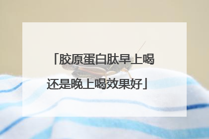 胶原蛋白肽早上喝还是晚上喝效果好