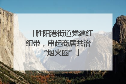 胜阳港街道党建红纽带，串起商居共治 “烟火圈”