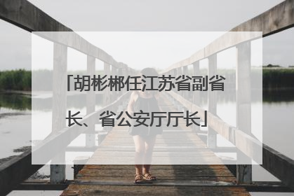 胡彬郴任江苏省副省长、省公安厅厅长