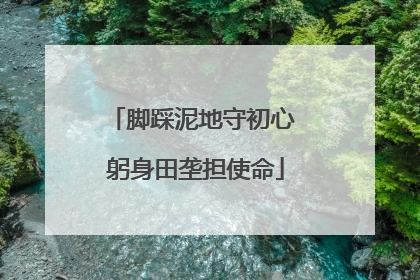 脚踩泥地守初心 躬身田垄担使命