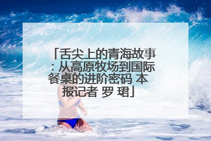 舌尖上的青海故事：从高原牧场到国际餐桌的进阶密码 本报记者 罗 珺