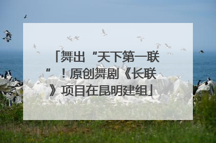 舞出“天下第一联”！原创舞剧《长联》项目在昆明建组
