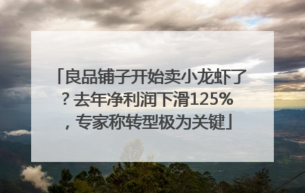 良品铺子开始卖小龙虾了？去年净利润下滑125%，专家称转型极为关键