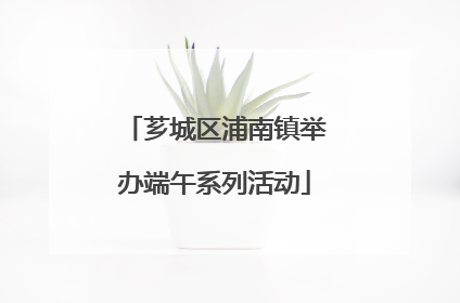 芗城区浦南镇举办端午系列活动