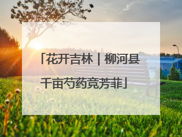 花开吉林｜柳河县千亩芍药竞芳菲