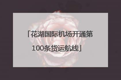 花湖国际机场开通第100条货运航线