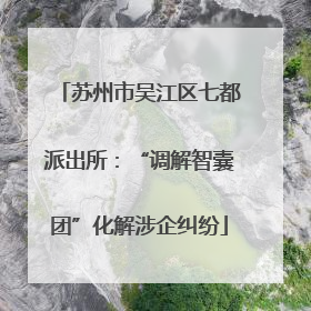苏州市吴江区七都派出所：“调解智囊团”化解涉企纠纷