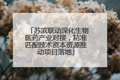苏滨联动深化生物医药产业对接，精准匹配技术资本资源推动项目落地