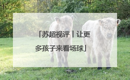 苏超视评︱让更多孩子来看场球