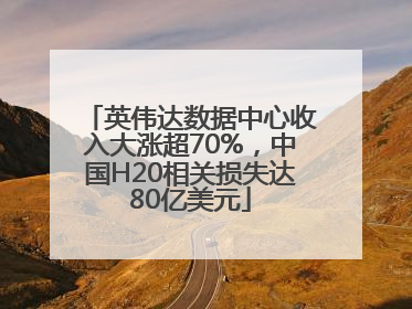 英伟达数据中心收入大涨超70%，中国H20相关损失达80亿美元