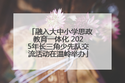 融入大中小学思政教育一体化 2025年长三角少先队交流活动在温岭举办