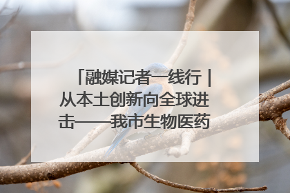 融媒记者一线行｜从本土创新向全球进击——我市生物医药产业破茧突围