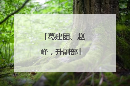 葛建团、赵峰，升副部