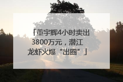 董宇辉4小时卖出3800万元，潜江龙虾火爆“出圈”