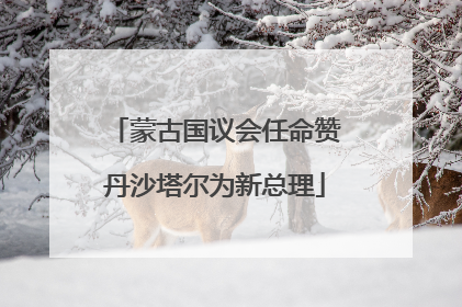 蒙古国议会任命赞丹沙塔尔为新总理