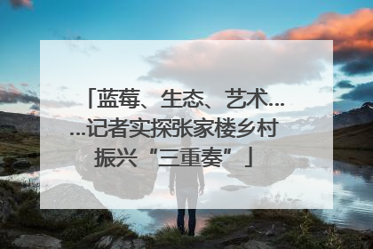 蓝莓、生态、艺术……记者实探张家楼乡村振兴“三重奏”