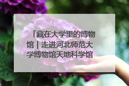 藏在大学里的博物馆｜走进河北师范大学博物馆天地科学馆：在校园里赴一场“宇宙之约”