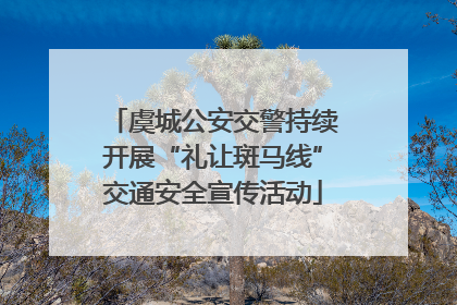 虞城公安交警持续开展“礼让斑马线”交通安全宣传活动